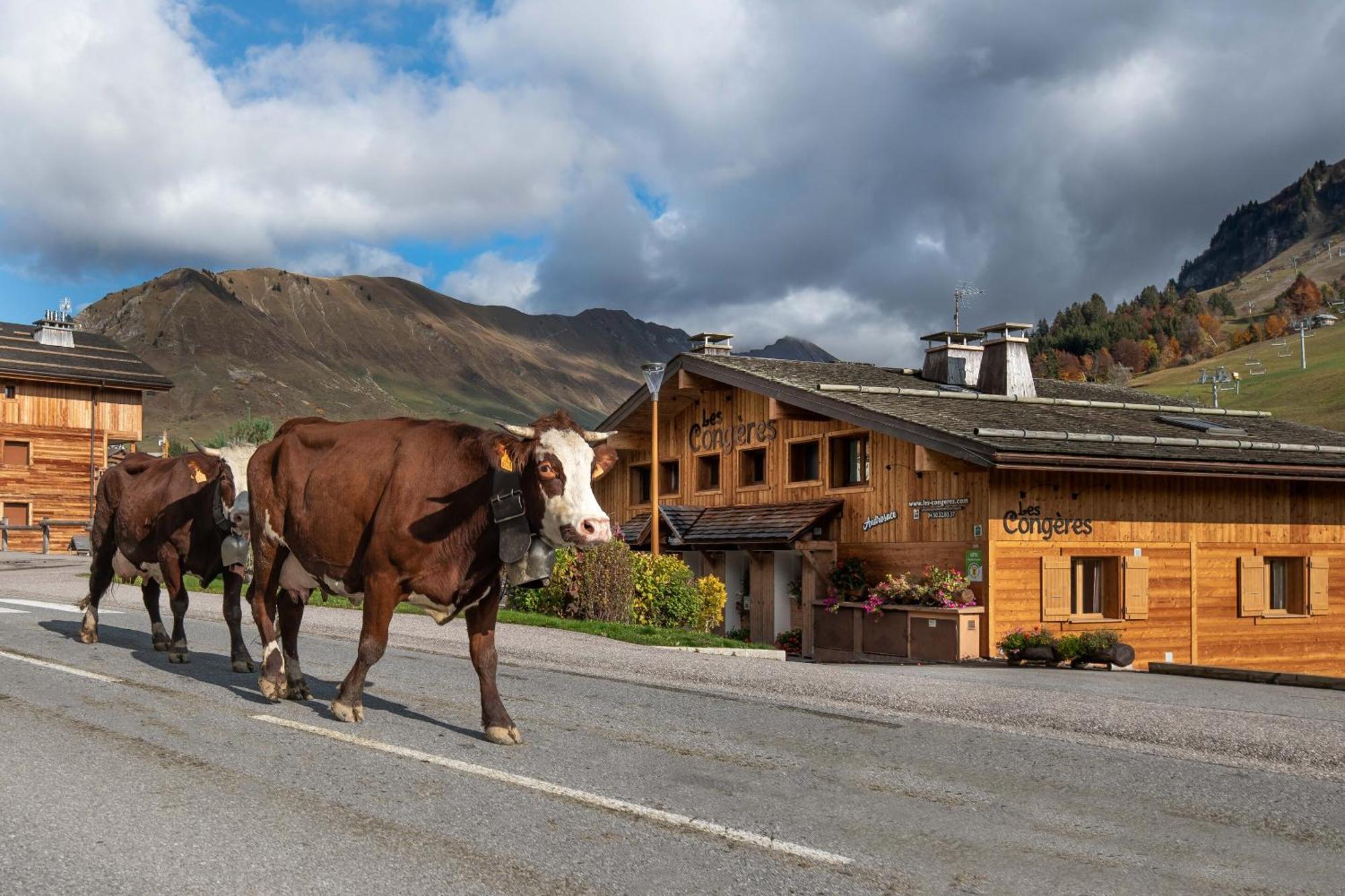 Les Congeres * Le Grand-Bornand